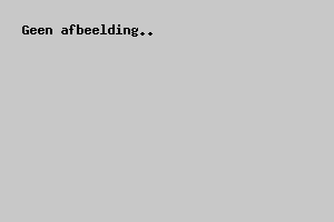 Consequent zijn, de basis van de opvoeding