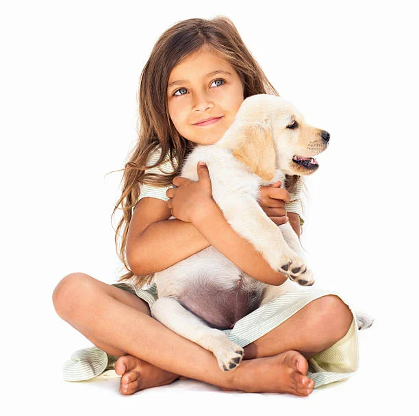 Angst voor honden