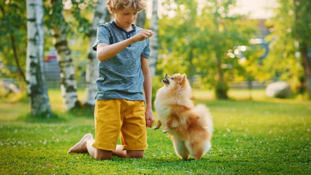 Kind hond training