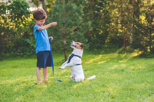Kind hond