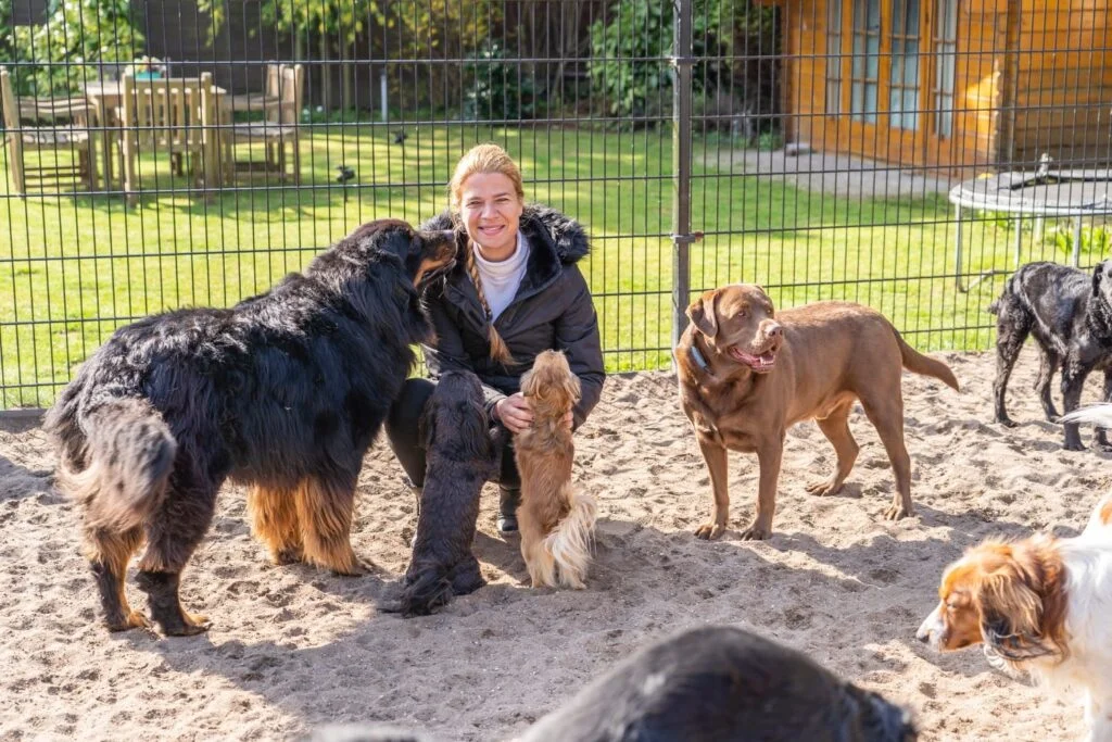 Liefde-voor-honden-opvang-1024×683
